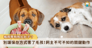 許多飼主都有過類似的經驗，狗狗突然拉肚子、精神不濟，但回想牠吃下肚的似乎都是平常的飼料或鮮食，事實上，有時問題並非出在食物本身，而是在飼主處理食物的過程中，少了一個關鍵動作—「保存與分裝」。