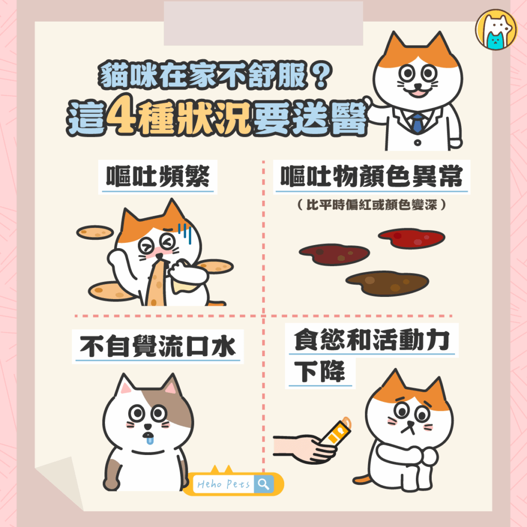 當貓咪開始狂吐…4種可能原因+就診判斷指南一次整理 當貓咪開始狂吐,許多飼主第一時間會以為只是吃太快、毛球卡住,但其實背後可能藏著更嚴重的健康警訊!嘔吐雖然是貓咪常見的自我保護機制,但若出現頻率高、嘔吐物顏色異常,甚至伴隨嗜睡或食慾不振等狀況,就不能再輕忽了。