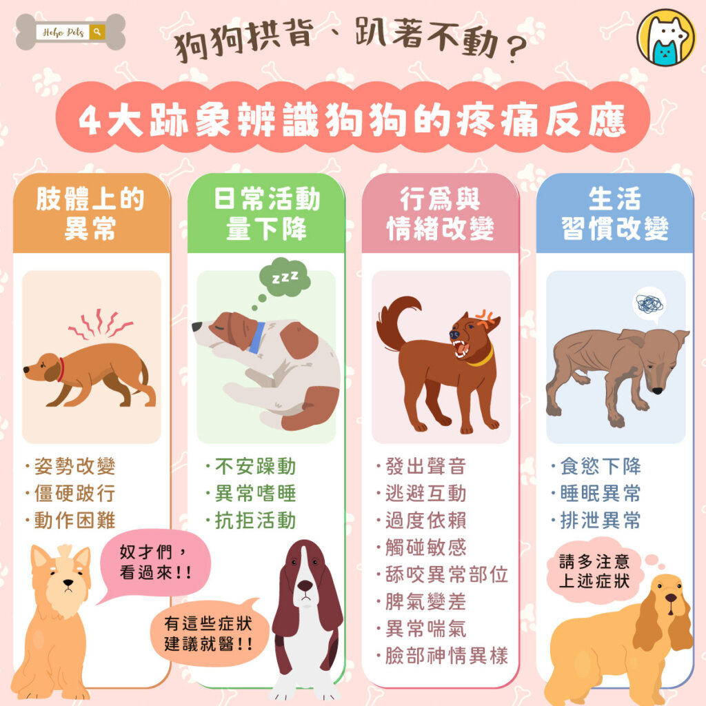 狗狗拱背、趴著不動?小心牠正在「默默忍痛」!4大跡象辨識狗狗的疼痛反應 狗狗無法用語言表達不舒服,但身體和行為的變化,其實已經在「說話」。如果你發現家中的毛孩頻繁拱背趴下、行走異常,甚至變得焦躁或不願互動,這可能是牠正在經歷疼痛的警訊。
