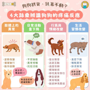 狗狗無法用語言表達不舒服，但身體和行為的變化，其實已經在「說話」。如果你發現家中的毛孩頻繁拱背趴下、行走異常，甚至變得焦躁或不願互動，這可能是牠正在經歷疼痛的警訊。