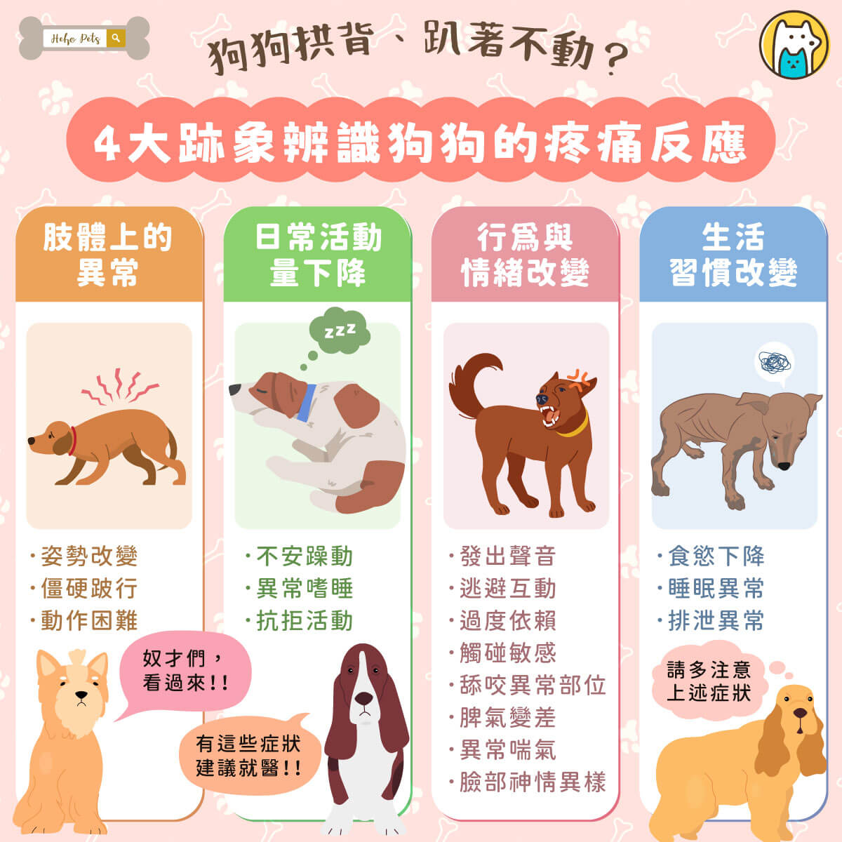 狗狗無法用語言表達不舒服，但身體和行為的變化，其實已經在「說話」。如果你發現家中的毛孩頻繁拱背趴下、行走異常，甚至變得焦躁或不願互動，這可能是牠正在經歷疼痛的警訊。