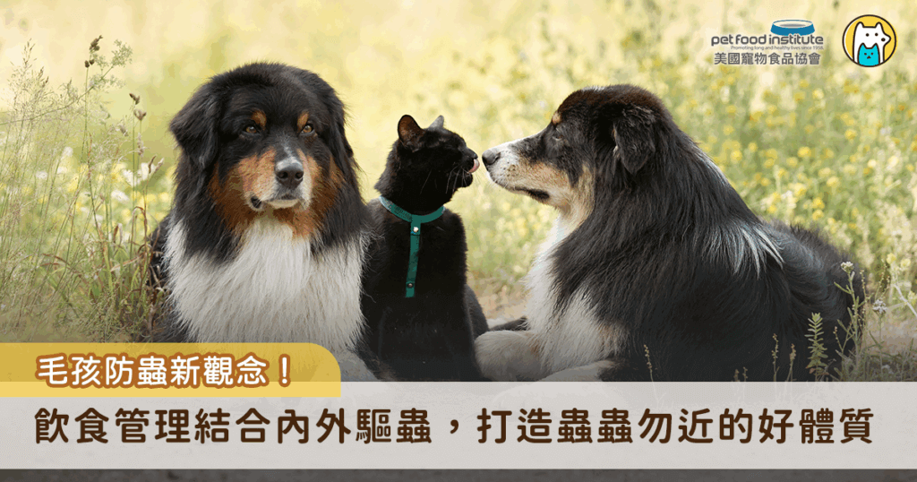 夏季是蚊蟲活躍的高峰期，對毛孩而言，跳蚤、壁蝨、心絲蟲等寄生蟲不只造成皮膚搔癢的不適，嚴重可能會威脅生命。多數飼主已逐漸建立起定期驅蟲的觀念，但除了外在的防護措施，其實由內而外的體質強化，更是預防的關鍵，唯有雙管齊下，才能真正守護毛孩遠離寄生蟲的侵擾。