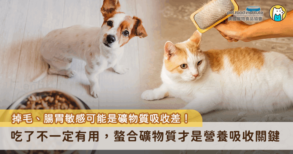 你知道嗎？飼料裡的「礦物質」可不只是營養標示上的一行數字，對毛孩來說，它們扮演的是從內而外守護健康的關鍵角色—尤其是「螯合礦物質」，更是許多獸醫與營養師口中的寵物營養黃金成分。