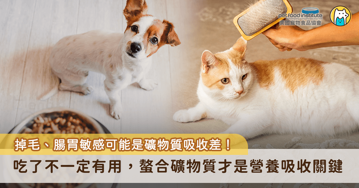 你知道嗎？飼料裡的「礦物質」可不只是營養標示上的一行數字，對毛孩來說，它們扮演的是從內而外守護健康的關鍵角色—尤其是「螯合礦物質」，更是許多獸醫與營養師口中的寵物營養黃金成分。