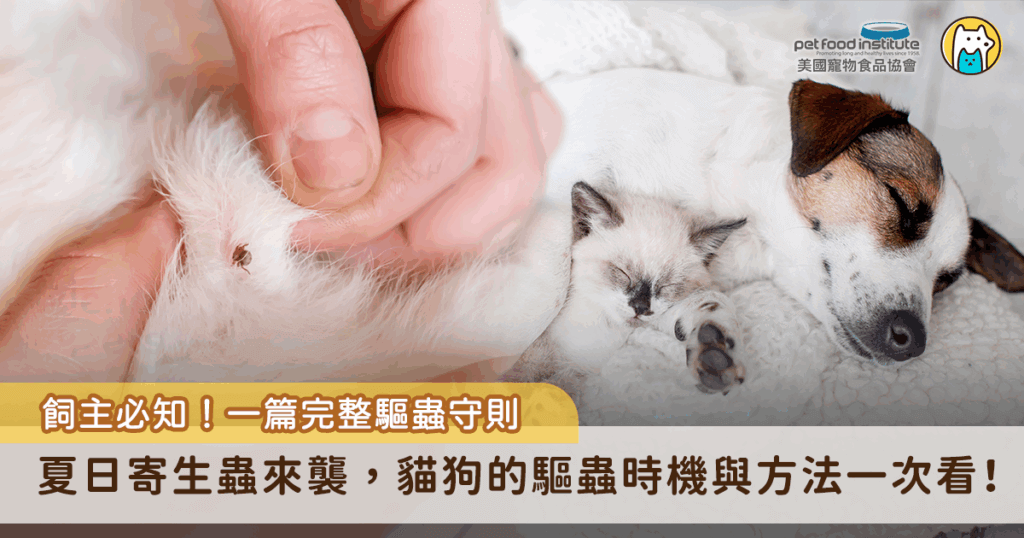 隨著氣溫節節攀升，蚊蟲、跳蚤、壁蝨等寄生蟲也紛紛出沒，不只讓毛孩不停搔癢，更可能引發嚴重甚至致命的健康問題，例如透過蚊子傳播的心絲蟲，以及壁蝨帶來的犬艾利希體病、焦蟲症等，都是飼主不可輕忽的隱憂。不僅如此，市面上標示「寵物友善」的殺蟲劑，若未慎選，也可能成為誤傷毛孩的隱形殺手。