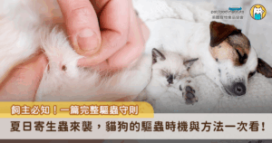 隨著氣溫節節攀升，蚊蟲、跳蚤、壁蝨等寄生蟲也紛紛出沒，不只讓毛孩不停搔癢，更可能引發嚴重甚至致命的健康問題，例如透過蚊子傳播的心絲蟲，以及壁蝨帶來的犬艾利希體病、焦蟲症等，都是飼主不可輕忽的隱憂。不僅如此，市面上標示「寵物友善」的殺蟲劑，若未慎選，也可能成為誤傷毛孩的隱形殺手。