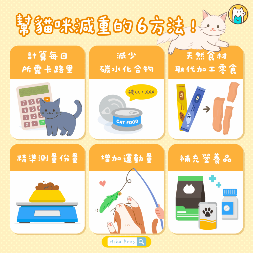 肉肉的很可愛,但健康更重要!靠這 6 方法簡單幫貓咪減重 當你發現家中貓咪的肚子越來越圓、跳高力明顯變弱,甚至連理毛的靈活度都下降時,這可能不是「可愛變胖」,而是健康警訊。肥胖會增加糖尿病、關節炎、心臟病等風險,身為飼主,我們有責任幫牠們維持理想體態。以下提供 6 個實用又安全的減重方法,讓貓咪逐步找回健康與活力。