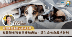 毛孩生病有很多種治療方式，當醫療無法再改善病況，以安寧緩和治療維持好的生活品質，讓毛孩舒服過生活更為重要。這次邀請勾勾動物醫院獸醫師鄧雁中講解安寧緩和治療與一般治療的差異，以及分享執業多年來陪伴許多家長一同經歷這場「打不贏的仗」，背後不為人知的故事與過程，鄧醫師也直呼，「要親眼看見，才知道這些毛孩家長多努力」。