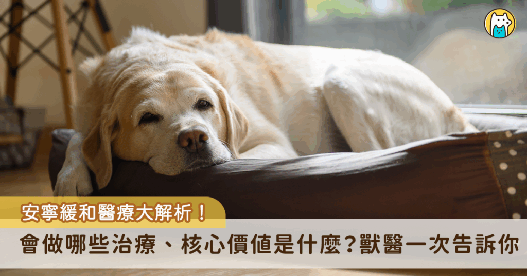 毛孩的疾病到了醫療介入也無法治癒的階段，這時候醫療目標會重新定位，以維持毛孩當前良好的生活品質為優先，透過安寧緩和治療讓牠們繼續享受生活。勾勾動物醫院鄧雁中獸醫師分享了 5 個安寧緩和治療的常見 QA，包含最多家長好奇會進行哪些治療？能否跟積極治療並行？將一一為飼主解答。