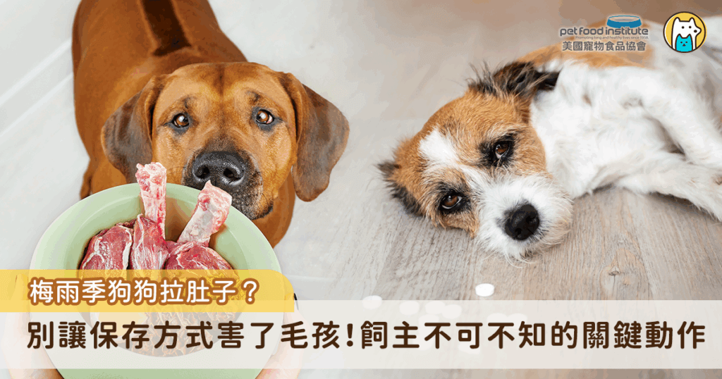許多飼主都有過類似的經驗，狗狗突然拉肚子、精神不濟，但回想牠吃下肚的似乎都是平常的飼料或鮮食，事實上，有時問題並非出在食物本身，而是在飼主處理食物的過程中，少了一個關鍵動作—「保存與分裝」。