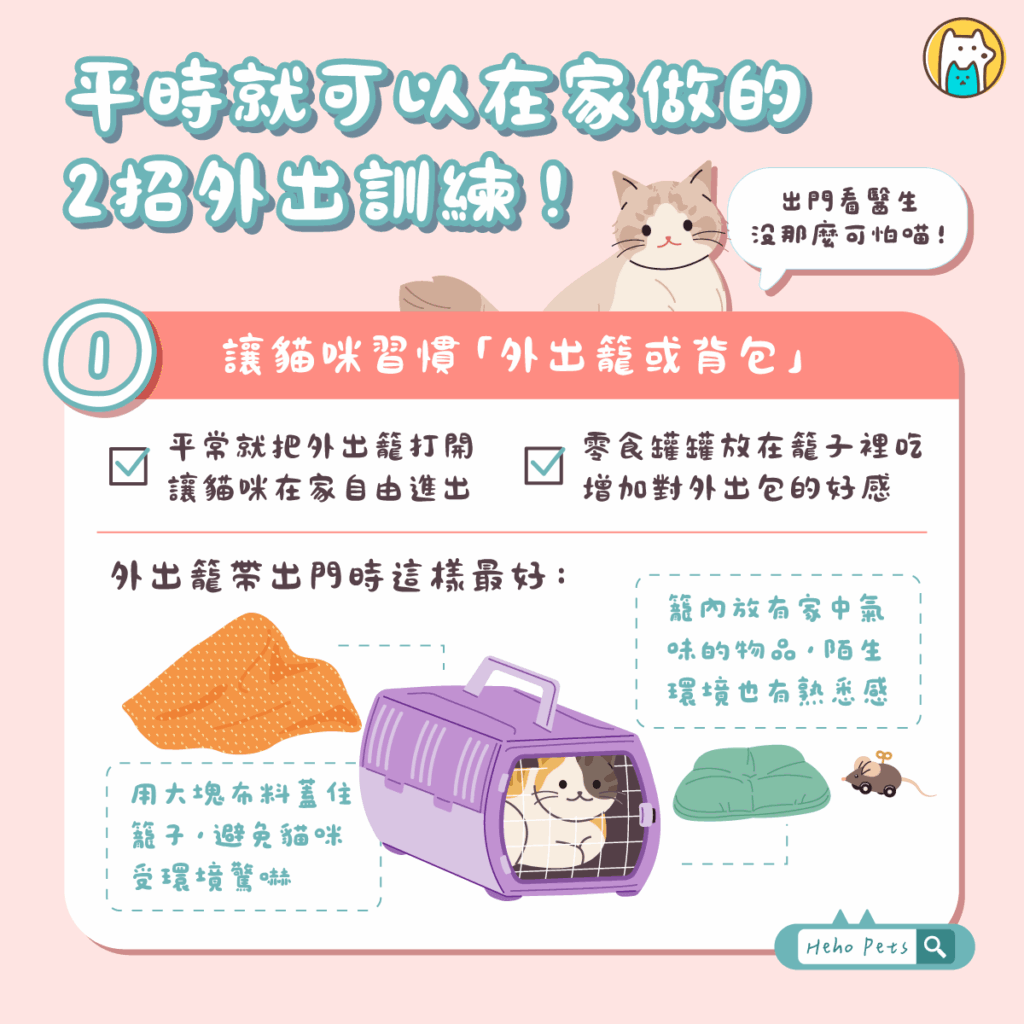 從此不再怕看醫生!這 2 招「外出訓練」在家就能跟貓咪一起練習! 有些貓咪看診、抽血時會激烈抗拒、尖叫,甚至需要鎮靜才能繼續,有的還可能因為過度緊張而出現攻擊行為,讓飼主感到非常困擾。其實貓咪出門崩潰,多半是因為「緊張」。主人可以先從下面兩個大方向著手,幫助牠們降低就醫壓力、慢慢適應外出。