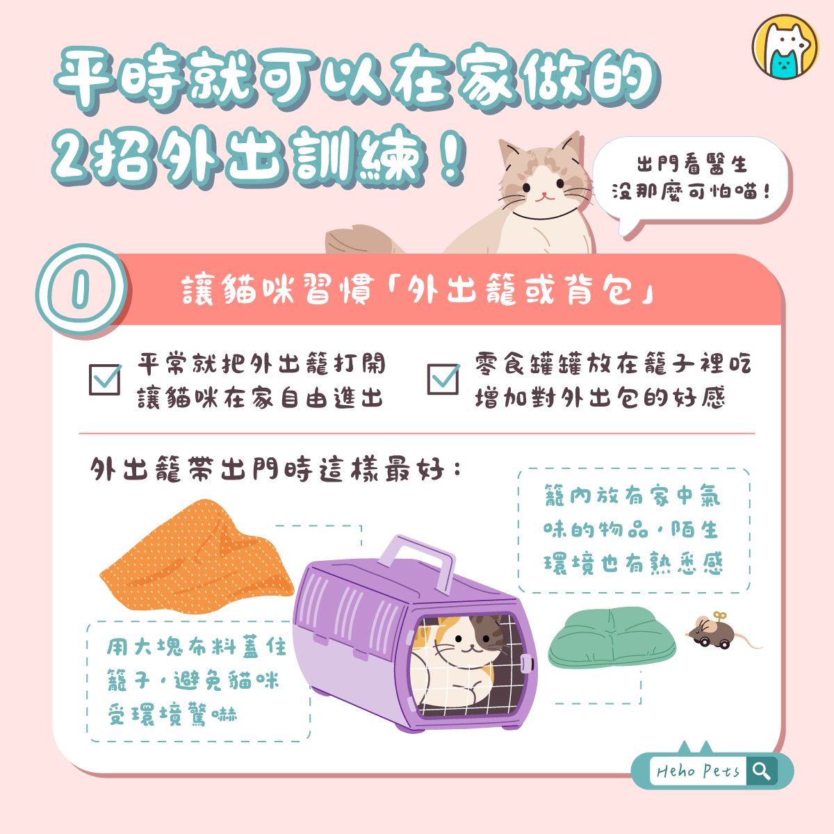從此不再怕看醫生！這 2 招「外出訓練」在家就能跟貓咪一起練習！