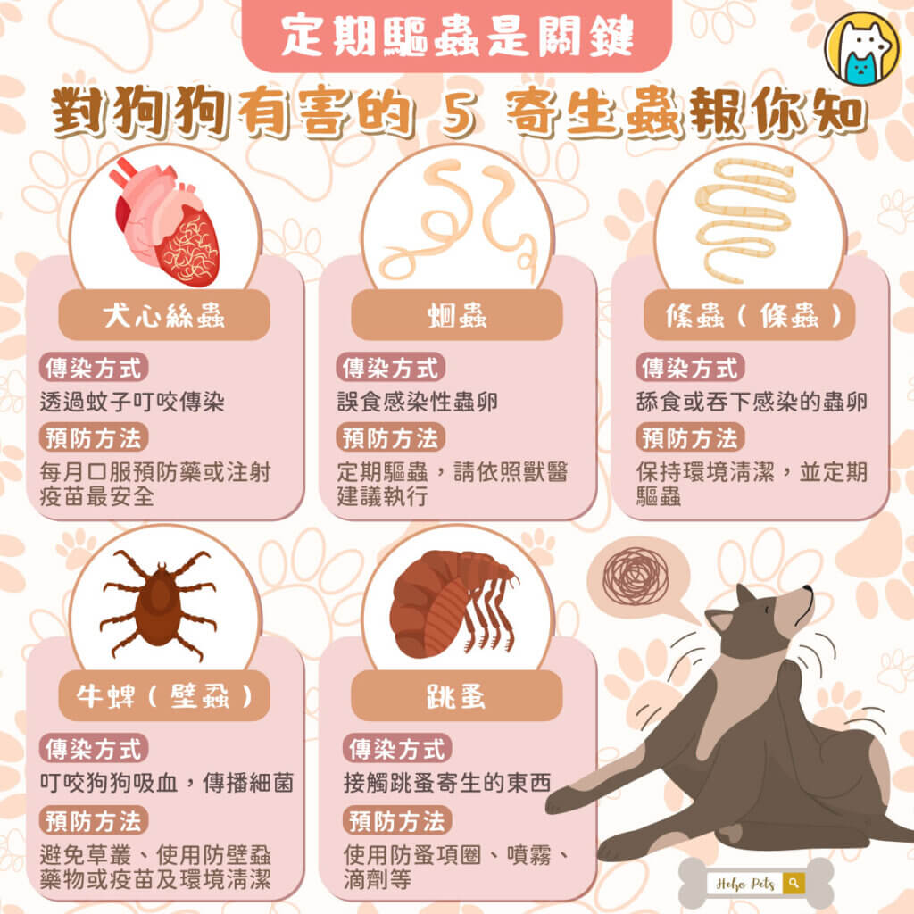 天氣一熱，毛孩們出門散步、趴趴走，常常接觸到草叢、大自然，這時候寄生蟲就容易上身！台灣潮濕又悶熱，更是寄生蟲活躍的季節，定期預防很重要，否則不只影響健康，嚴重甚至會致命！