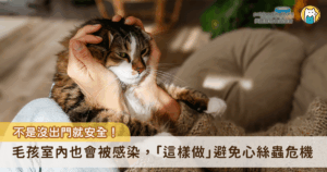 蚊蟲活躍的夏季來臨，毛孩的健康也面臨一項看不見的隱憂—心絲蟲感染。許多飼主以為只要毛孩不外出就不會被傳染，實際上所有毛孩在夏季都應該正視心絲蟲危機，並非只侷限於在戶外活動的犬貓，即便是長期待在室內的毛孩，也無法完全避免蚊子的侵擾與心絲蟲的威脅。