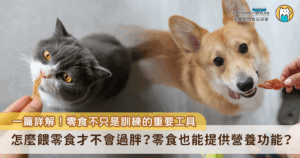對許多毛孩來說，吃零食是一天中最期待的時刻，不論是汪星人還是喵主子，只要聞到零食的香氣，就能瞬間展現超高熱情，搖尾巴、蹭腿、喵喵叫，樣樣來！零食其實不只是寵物開心的來源，更是飼主與毛孩建立關係、進行訓練，甚至補充營養的重要工具，只要選得對、餵得適當，零食絕對能成為毛孩健康生活的好夥伴之一。