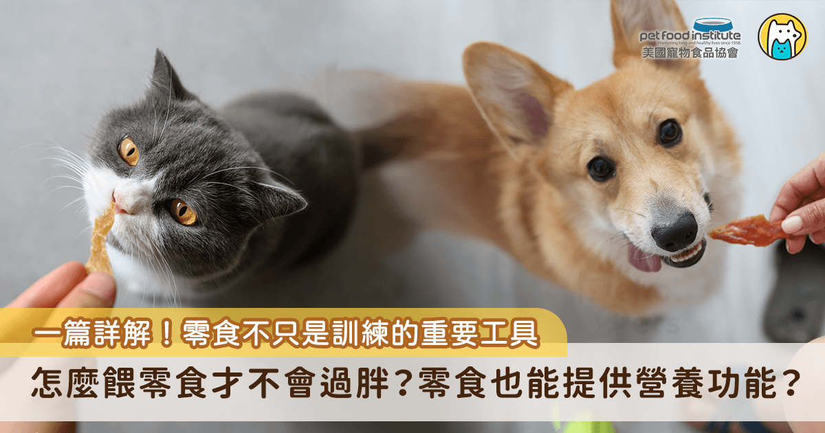 對許多毛孩來說，吃零食是一天中最期待的時刻，不論是汪星人還是喵主子，只要聞到零食的香氣，就能瞬間展現超高熱情，搖尾巴、蹭腿、喵喵叫，樣樣來！零食其實不只是寵物開心的來源，更是飼主與毛孩建立關係、進行訓練，甚至補充營養的重要工具，只要選得對、餵得適當，零食絕對能成為毛孩健康生活的好夥伴之一。