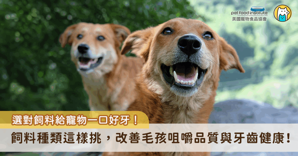 多數飼主選擇飼料時，會優先考慮營養成分與毛孩的口味偏好，卻常忽略了一個重要面向：牙齒健康。其實，飼料不僅僅是每天的主食，選對飼料更可以幫助毛孩維持口腔清潔並減少牙垢，透過正確的飼料種類與顆粒設計，有助於改善毛孩的咀嚼品質與牙齒健康，避免日後因牙周病或牙結石帶來的不適與醫療負擔。