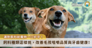 多數飼主選擇飼料時，會優先考慮營養成分與毛孩的口味偏好，卻常忽略了一個重要面向：牙齒健康。其實，飼料不僅僅是每天的主食，選對飼料更可以幫助毛孩維持口腔清潔並減少牙垢，透過正確的飼料種類與顆粒設計，有助於改善毛孩的咀嚼品質與牙齒健康，避免日後因牙周病或牙結石帶來的不適與醫療負擔。