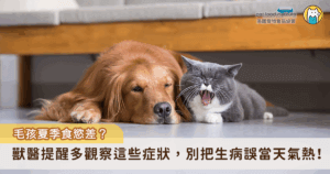 夏天的高溫環境容易導致毛孩進食量減少、食慾變差，更可能變得懶洋洋不想動，讓飼主難以分辨毛孩是生病還是因高溫所導致的食慾不振。美國寵物食品協會（PFI）邀請中華民國獸醫師公會全國聯合會理事長譚大倫分享夏季毛孩食慾不振的可能原因與照護的要點。譚大倫提醒，天氣熱容易影響毛孩的食慾，但如若除了食慾不振，還伴隨嘔吐、腹瀉、腹部異常腫大等症狀，建議要儘速帶毛孩就醫。