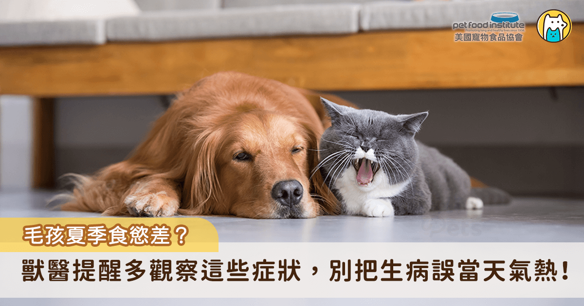 夏天的高溫環境容易導致毛孩進食量減少、食慾變差，更可能變得懶洋洋不想動，讓飼主難以分辨毛孩是生病還是因高溫所導致的食慾不振。美國寵物食品協會（PFI）邀請中華民國獸醫師公會全國聯合會理事長譚大倫分享夏季毛孩食慾不振的可能原因與照護的要點。譚大倫提醒，天氣熱容易影響毛孩的食慾，但如若除了食慾不振，還伴隨嘔吐、腹瀉、腹部異常腫大等症狀，建議要儘速帶毛孩就醫。