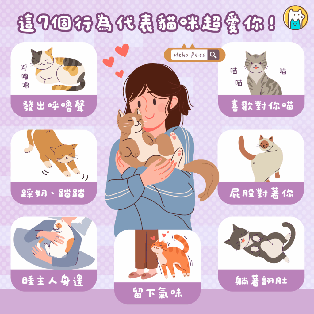 你是不是也常常覺得家裡的貓看起來「臉很臭」？其實貓咪天生臉部表情沒那麼多，容易被誤會個性冷淡。但事實上，牠們其實有自己一套「低調又真誠」的示愛方式，只要你稍微留意，就能發現牠們一直在偷偷說：「我很喜歡你喔！」