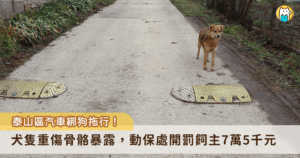 新北市泰山區大科一路傳出有汽車駕駛綁狗拖行的事件，一輛行駛中的汽車後頭綁著一隻黃狗沿路拖行，狗狗四肢和腹部嚴重磨傷，甚至有骨骼暴露。新北市動保處介入調查，得知為飼主忽失所導致，已自行送狗狗就醫，由於犬隻受傷嚴重，動保處依法裁罰 7 萬 5 千元並沒入犬隻。