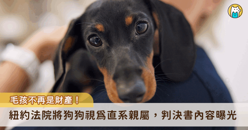 美國紐約一名高等法院法官在一場訴訟中裁定，一名受害者有權利請償，目睹家中 4 歲的臘腸狗遭司機撞亡，自己也差點遭撞，精神受到嚴重打擊。法官認為，案件中死亡的臘腸狗「杜克（Duke）」為受害者家中的一份子，視為受害者的直系親屬，不再只是個人財產，因此受害者可向肇事司機所求相關的精神賠償。