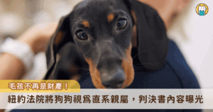 美國紐約一名高等法院法官在一場訴訟中裁定，一名受害者有權利請償，目睹家中 4 歲的臘腸狗遭司機撞亡，自己也差點遭撞，精神受到嚴重打擊。法官認為，案件中死亡的臘腸狗「杜克（Duke）」為受害者家中的一份子，視為受害者的直系親屬，不再只是個人財產，因此受害者可向肇事司機所求相關的精神賠償。