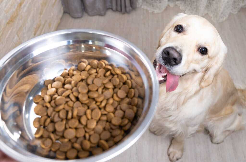 無穀和有穀飼料哪個好?該怎麼挑? 4 項優劣勢分析告訴你 無穀和有穀飼料哪個比較好呢?常聽人家說無穀飼料對貓狗好處多,那為什麼還有許多品牌繼續推出有穀飼料?事實上,這兩種飼料各有其設計目的與營養價值,不能一概而論。本文將從成分、過敏風險、消化性及毛孩健康議題等 4 項分析出發,為您介紹無穀與有穀飼料的差異,提供最理性、科學的飼料選擇建議。