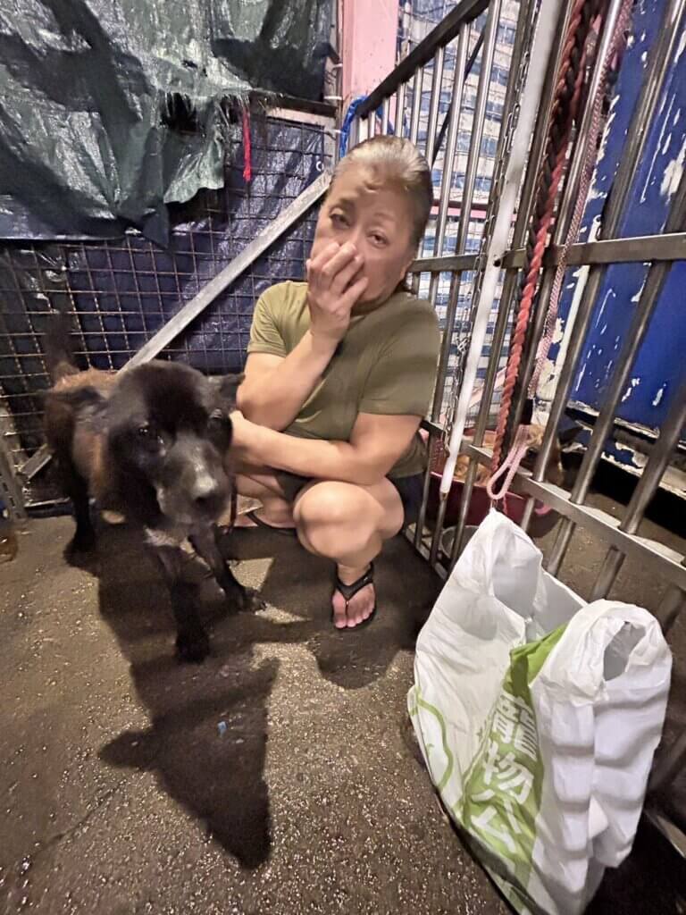 「不知道飼主過世」八里黑犬獨守家裡 動保處與民間合作安置 新北市八里區一名長年獨居的長者辭世,僅留下忠心陪伴的狗狗孤單在家守候,不知道心愛的飼主已經不會再回來。新北市動保處接獲通報派員了解狀況,並聯繫長期致力於動物收容與照護的廖愛媽協助安置,幫狗狗找到安心落腳的住所。