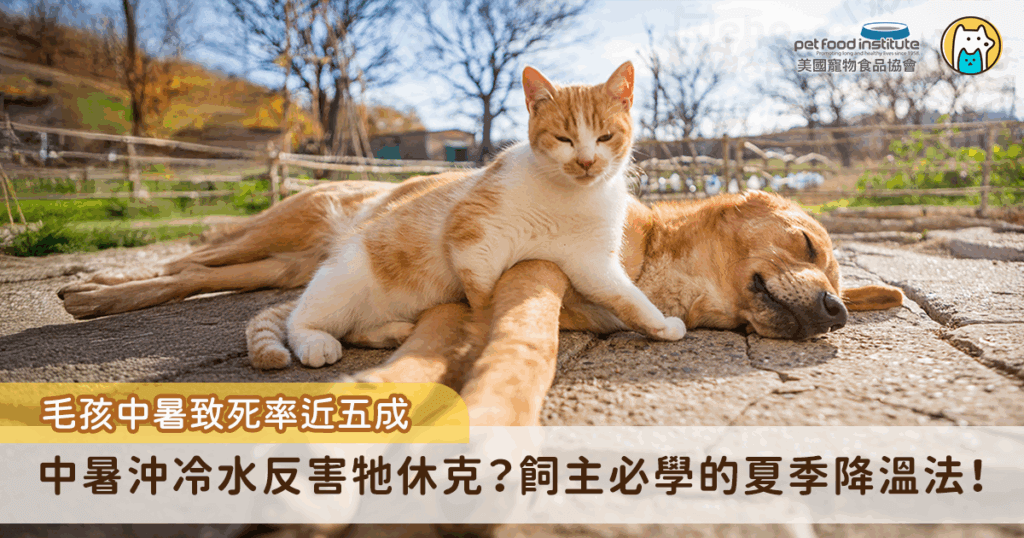 夏季氣溫連年攀升，狗狗和貓咪不像人類能透過流汗有效散熱，面對極端高溫時，若無適當照護，輕則中暑不適，嚴重時可能導致熱衰竭甚至死亡，因此了解毛孩中暑風險、徵兆與預防對策，是每位飼主不可忽視的責任。