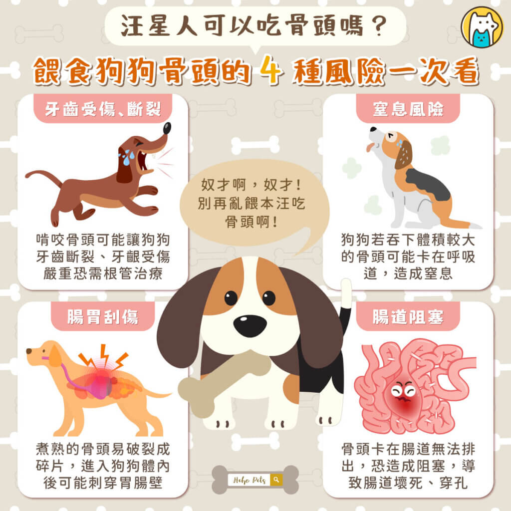 每到吃飯時間，總有一雙熱切的眼神盯著你手中的食物。許多飼主會將吃剩的排骨、雞骨頭留給狗狗當作獎勵，覺得牠們也應該「吃得開心」。但你知道嗎？骨頭對狗狗來說，其實潛藏許多健康危機，嚴重時甚至可能致命！