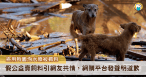 風災水災重創南台灣，許多單位都投入救災，台灣動物救援小組指控一個自稱「浪愛集食」的網購平台盜用他們多支公益影片及照片，疑以「幫助災區毛孩重建家園」的內容，搭配淹水、建築物坍塌等悲情畫面，引發網友共情捐款買飼料。稍早「浪愛集食」也在臉書貼聲明書，對於盜用照片影片一事致歉，但並未提及利用公益包裝盈利部分。