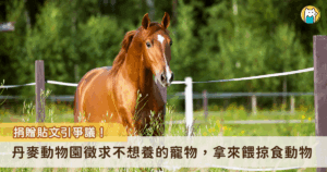 丹麥的奧爾堡動物園 (Aalborg Zoo) 近期在臉書發布一則消息，徵求飼主不想飼養的天竺鼠、兔子、雞隻、馬等等，將作為「活體糧食」提供給園內的肉食性動物。貼文發布後引起網友論戰。