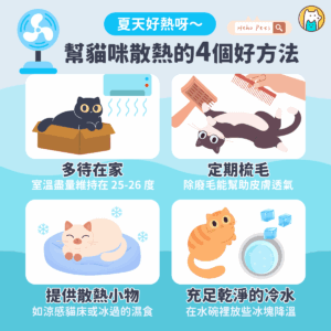 夏天太熱，貓咪降溫祕訣大公開！這 4 招比剃毛更涼快