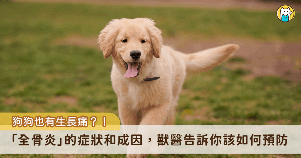 狗狗的全骨炎 (Panosteitis) 又稱為生長痛，常發生於大型幼犬。在沒有任何外傷或激烈運動的情況下，突然就出現嚴重跛行的症狀，而且輪流發生在不同位置，有可能是生長痛哦！