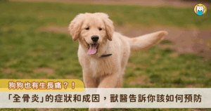 狗狗的全骨炎 (Panosteitis) 又稱為生長痛，常發生於大型幼犬。在沒有任何外傷或激烈運動的情況下，突然就出現嚴重跛行的症狀，而且輪流發生在不同位置，有可能是生長痛哦！