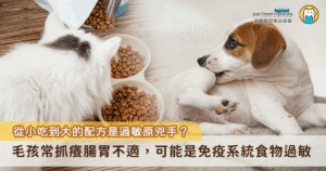 你家毛孩是不是經常抓癢、嘔吐、拉肚子，卻怎麼也找不出原因？其實問題很有可能來自牠每天吃下肚的食物所造成「食物過敏」。正如人類，貓狗也會對某些食物產生過敏反應，且過敏原很有可能來自於日常飲食中再平常不過的成分。