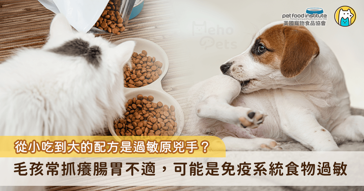 你家毛孩是不是經常抓癢、嘔吐、拉肚子，卻怎麼也找不出原因？其實問題很有可能來自牠每天吃下肚的食物所造成「食物過敏」。正如人類，貓狗也會對某些食物產生過敏反應，且過敏原很有可能來自於日常飲食中再平常不過的成分。