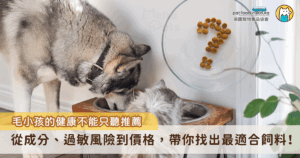 無穀和有穀飼料哪個比較好呢？常聽人家說無穀飼料對貓狗好處多，那為什麼還有許多品牌繼續推出有穀飼料？事實上，這兩種飼料各有其設計目的與營養價值，不能一概而論。本文將從成分、過敏風險、消化性及毛孩健康議題等 4 項分析出發，為您介紹無穀與有穀飼料的差異，提供最理性、科學的飼料選擇建議。