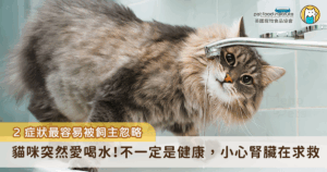 許多飼主以為「貓咪多喝水、多尿」是健康的表現，特別是在炎熱的夏季，看到毛孩主動補水反而覺得安心，卻忽略了這可能是慢性腎臟病（Chronic Kidney Disease, CKD）的警訊之一。這種疾病早期症狀不明顯，容易被誤解為正常生理反應，從而錯失治療的黃金時機，根據台灣貓科醫學會過去調查指出，高達九成的飼主對貓咪慢性腎病的症狀認識不足，甚至有六成飼主誤以為「喝水變多、多尿」是好現象，顯示慢性腎病雖常見，卻極易被忽略。