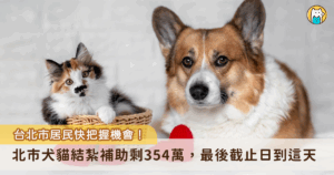 台北市動保處每年編列百萬經費補助家犬貓絕育手術費用，今 (2025) 年截至 7 月 31 日止，已補助 1974 隻家犬及家貓的絕育手術費，補助款餘額尚有 354 萬元可供申請。動保處已發送 3000 則簡訊，提醒民眾把握機會申請，結紮補助將於 12 月 20 日，或補助額滿時停止受理申請案。