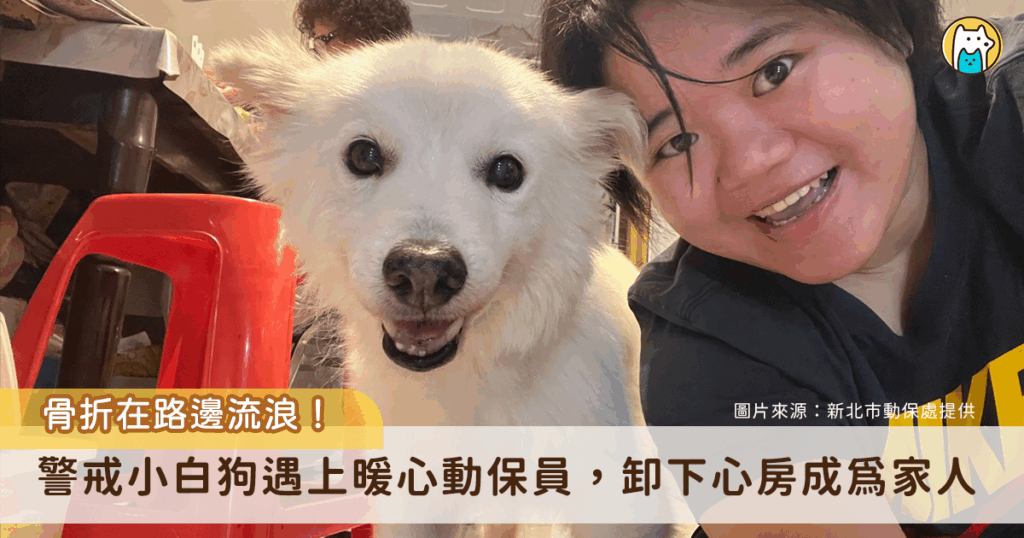新北市石門富基海岸前陣子出現一隻流浪的小白狗，前腳骨折彎曲無法正常行走，徘徊在馬路旁邊，路過人車驚險閃避，由動保處接獲通報協助安置，同時進行醫療處置。小白狗從一開始的警戒怕生，重拾對人類的信任和依賴，也幫自己找到一輩子的家人，放下戒心會笑了。