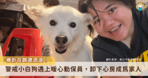 新北市石門富基海岸前陣子出現一隻流浪的小白狗，前腳骨折彎曲無法正常行走，徘徊在馬路旁邊，路過人車驚險閃避，由動保處接獲通報協助安置，同時進行醫療處置。小白狗從一開始的警戒怕生，重拾對人類的信任和依賴，也幫自己找到一輩子的家人，放下戒心會笑了。