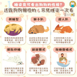 狗狗每天要睡超過 10 小時，在睡眠過程中會變換各種姿勢，有時蜷縮成小球，有時大喇喇翻肚，模樣既可愛又療癒。其實，睡姿除了反映牠們的舒適程度，還能透露出狗狗的個性與心理狀態， 6 種最常見的睡姿，一起來看看你家狗狗屬於哪一型。