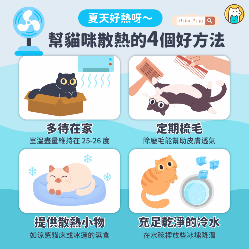 夏天對人類來說，少穿衣服就能散熱降溫，但對貓咪來說卻完全不是這麼回事。許多飼主以為幫貓咪剃毛能幫助降溫，其實效果適得其反。貓毛除了保暖，還能阻擋外部高溫、協助牠們調節體溫。與其動刀剃毛，不如透過下面這四種日常方式，效果更佳，也能避免中暑風險。