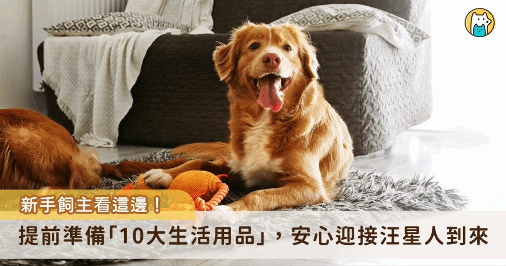 狗狗是人類忠實的好朋友，許多人都嚮往能有一隻毛孩作伴，但對於初次養狗的新手來說，養狗前的準備事項常讓人手忙腳亂。本篇文章就幫你整理出新手養狗必備的十大用品清單，讓你能安心迎接汪星人的到來！