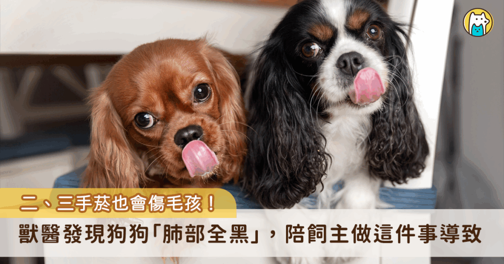 國人飼養毛小孩比例逐年增加，台灣飼養犬貓數量高達 279 萬隻，家中有吸煙習慣者除了影響家庭成員，也會連帶影響毛孩健康。中華民國獸醫師公會全國聯合會理事長譚大倫表示，毛孩可能因二手菸罹患呼吸道疾病及癌症，透過直接吸入二手菸，或舔毛髮攝入菸草化合物（三手菸）造成身體危害，罹癌機率相較於無煙環境高出 2-4 倍。