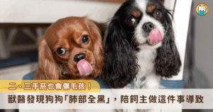 國人飼養毛小孩比例逐年增加，台灣飼養犬貓數量高達 279 萬隻，家中有吸煙習慣者除了影響家庭成員，也會連帶影響毛孩健康。中華民國獸醫師公會全國聯合會理事長譚大倫表示，毛孩可能因二手菸罹患呼吸道疾病及癌症，透過直接吸入二手菸，或舔毛髮攝入菸草化合物（三手菸）造成身體危害，罹癌機率相較於無煙環境高出 2-4 倍。