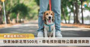 為慶祝國際狗狗日，鼓勵市民攜帶寵物外出落實模範飼主行為，新北市動保處推出毛寶貝加菜金抽獎活動，民眾在 8 月 4 日至 8 月 31 日內，前往新北市貼有「寵物友善標章」的合作店家消費，並於動保處官方臉書貼文完成指定任務，就有機會抽中新北幣 500 元共計 20 名。